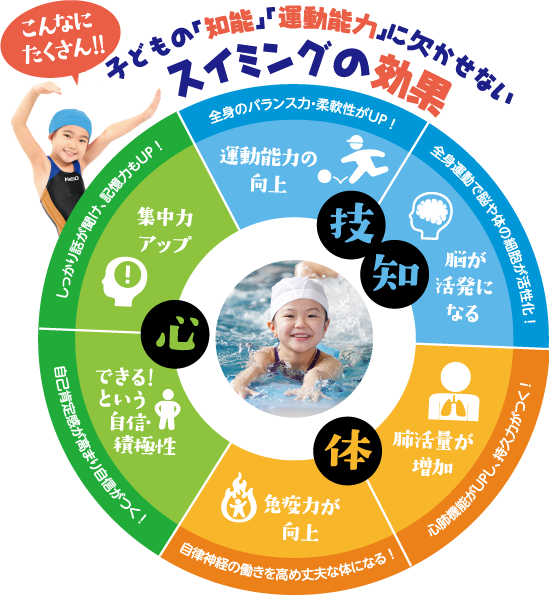 スイミングの効果