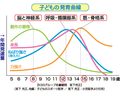 子どもの発育曲線